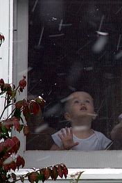 a child ponders the first snow