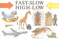 Cover of the book Fast-Slow High-Low