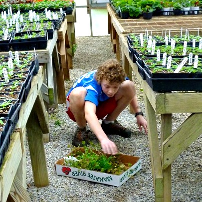 working in the greenhouse on the Appalachia mission trip