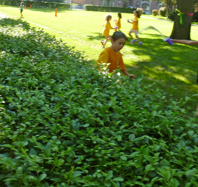Game: Pool Pass. That cup of water on the right looks like it's headed straight towards him! Game: Pool Pass
