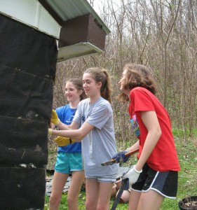 The team works at siding